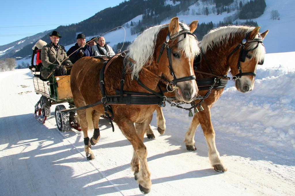 "Schoen-Urlauben" Grobming Εξωτερικό φωτογραφία